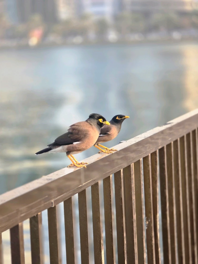 GIF uploaded by VISHAL