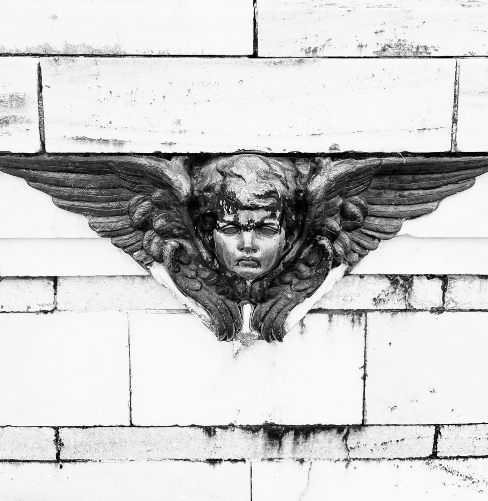 GIF uploaded by Gyrase