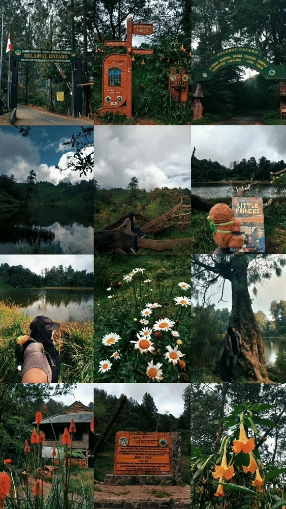 GIF uploaded by Desi