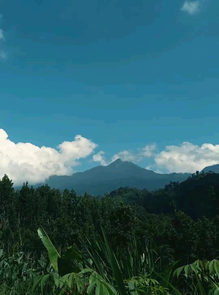 I-upload ni Desi ang larawan