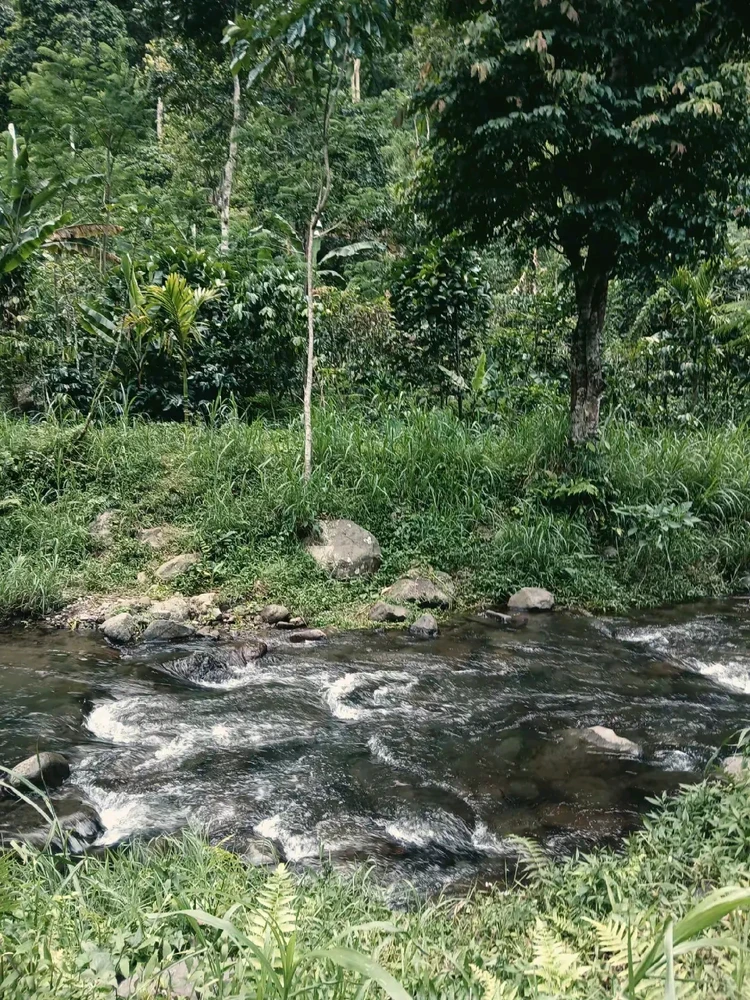 I-upload ni Desi ang larawan