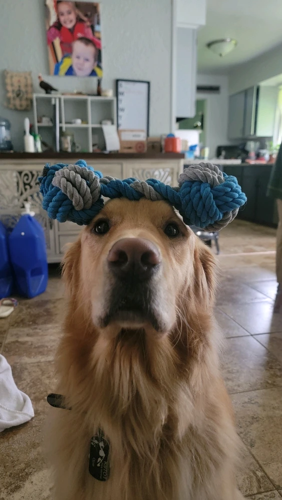 Image uploaded by Erin