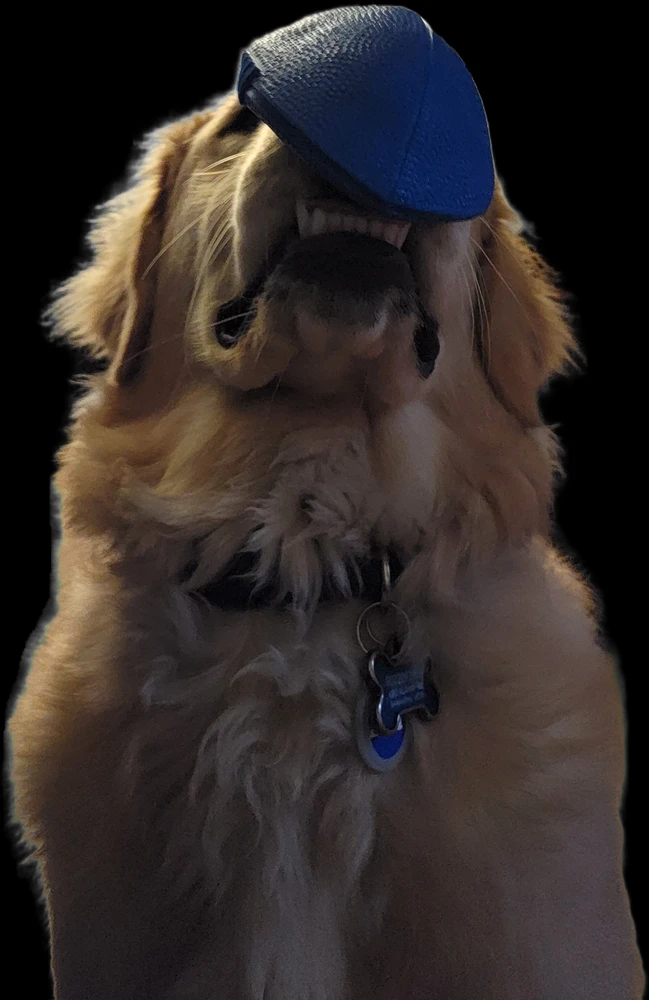 Image uploaded by Erin