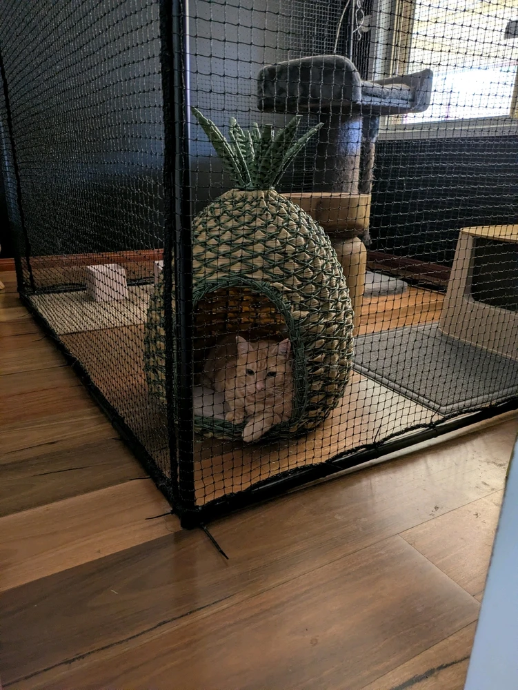 GIF uploaded by Sarah