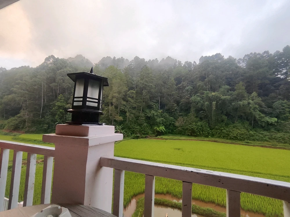 Image uploaded by Aileen