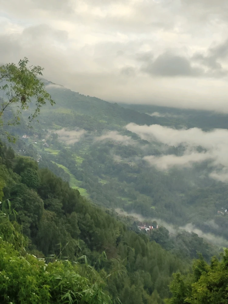 Image uploaded by Aileen