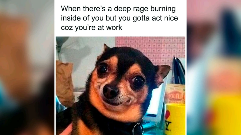 GIF uploaded by Andrew