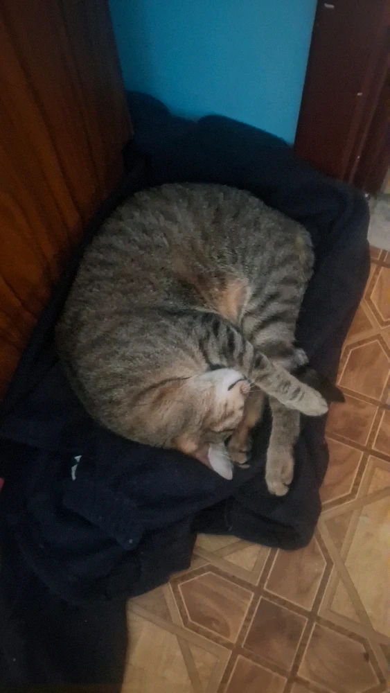GIF dodany przez Norbert