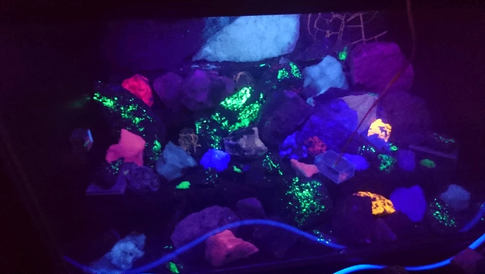 GIF uploaded by Christopher