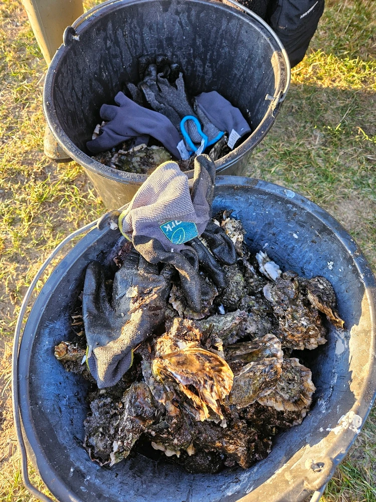 Image uploaded by Asger