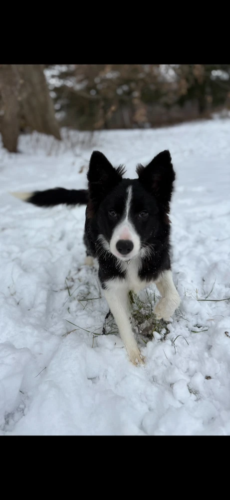 Image uploaded by Morgan