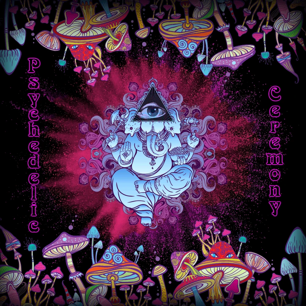 Zdjęcie dodane przez Piotr