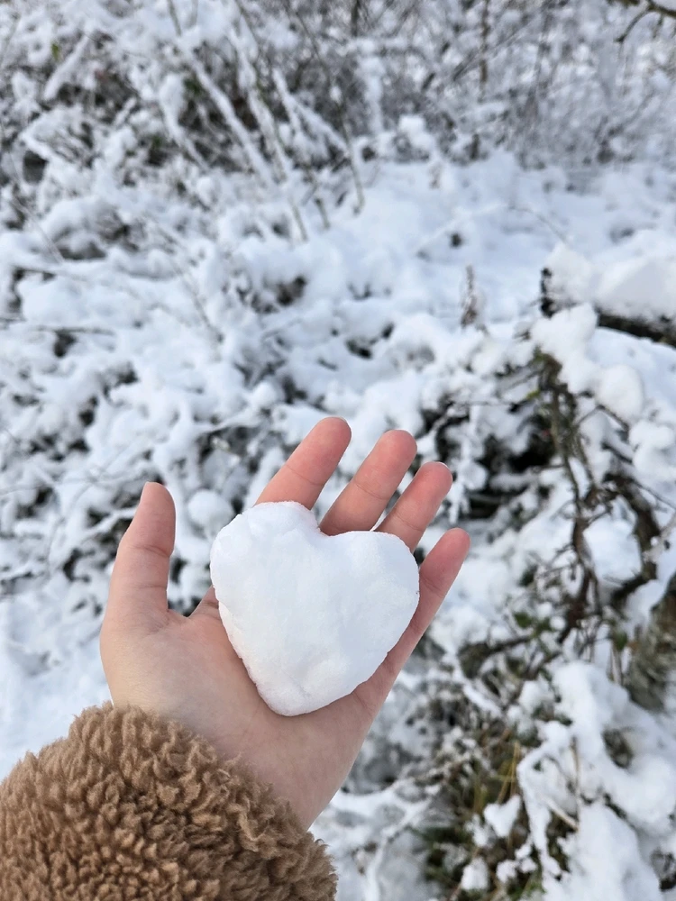 Gambar diunggah dening Marissa