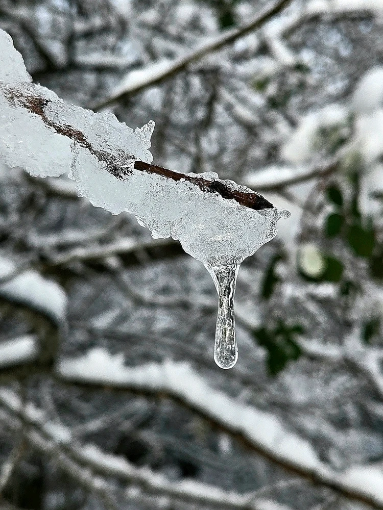 Gambar diunggah dening Marissa