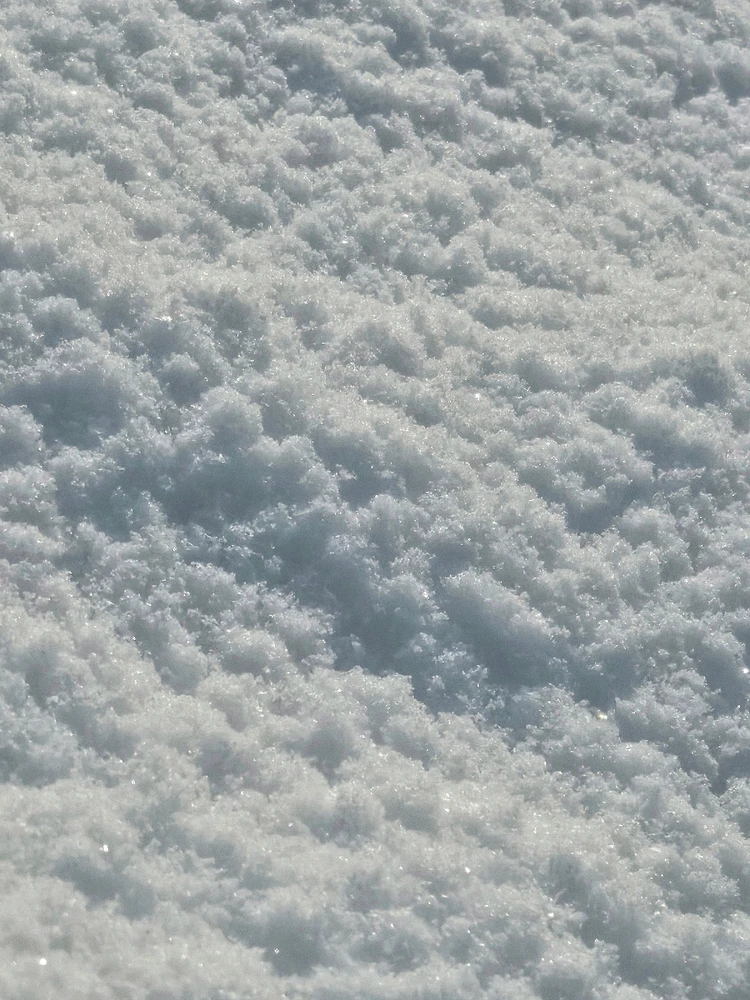 Gambar diunggah dening Marissa