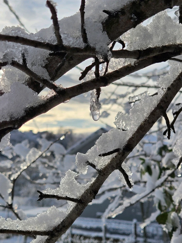 Gambar diunggah dening Marissa