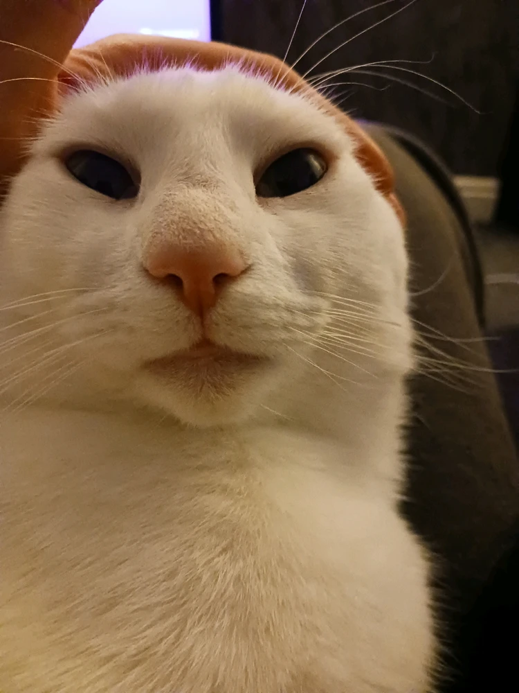 Gambar diunggah dening Jack