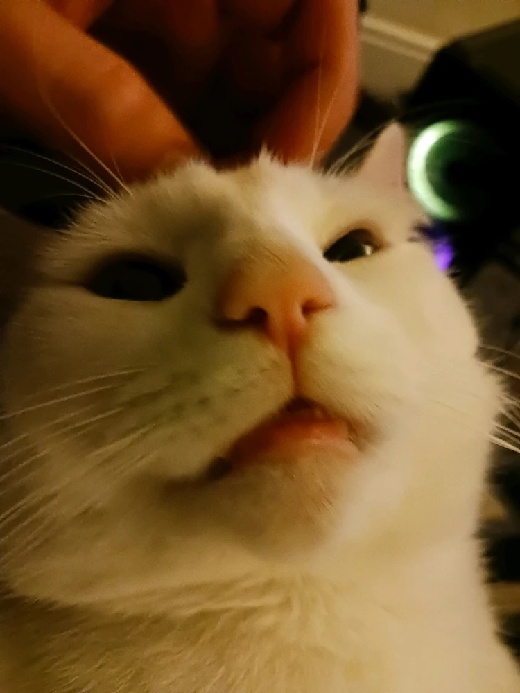 Gambar diunggah dening Jack