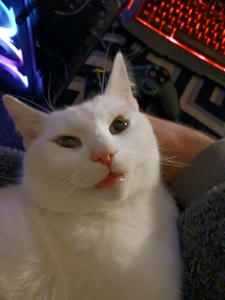 Gambar diunggah dening Jack