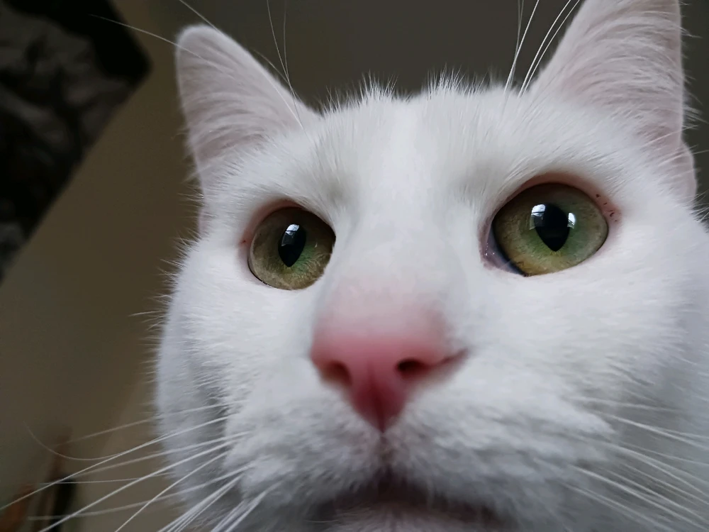 Gambar diunggah dening Jack