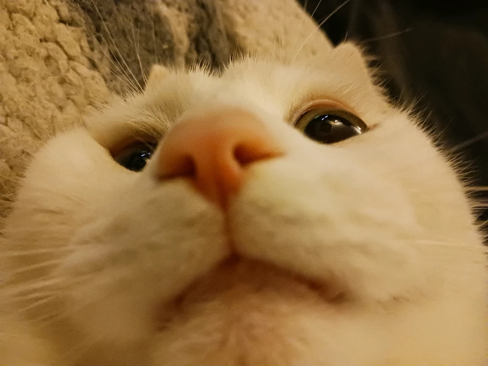 Gambar diunggah dening Jack