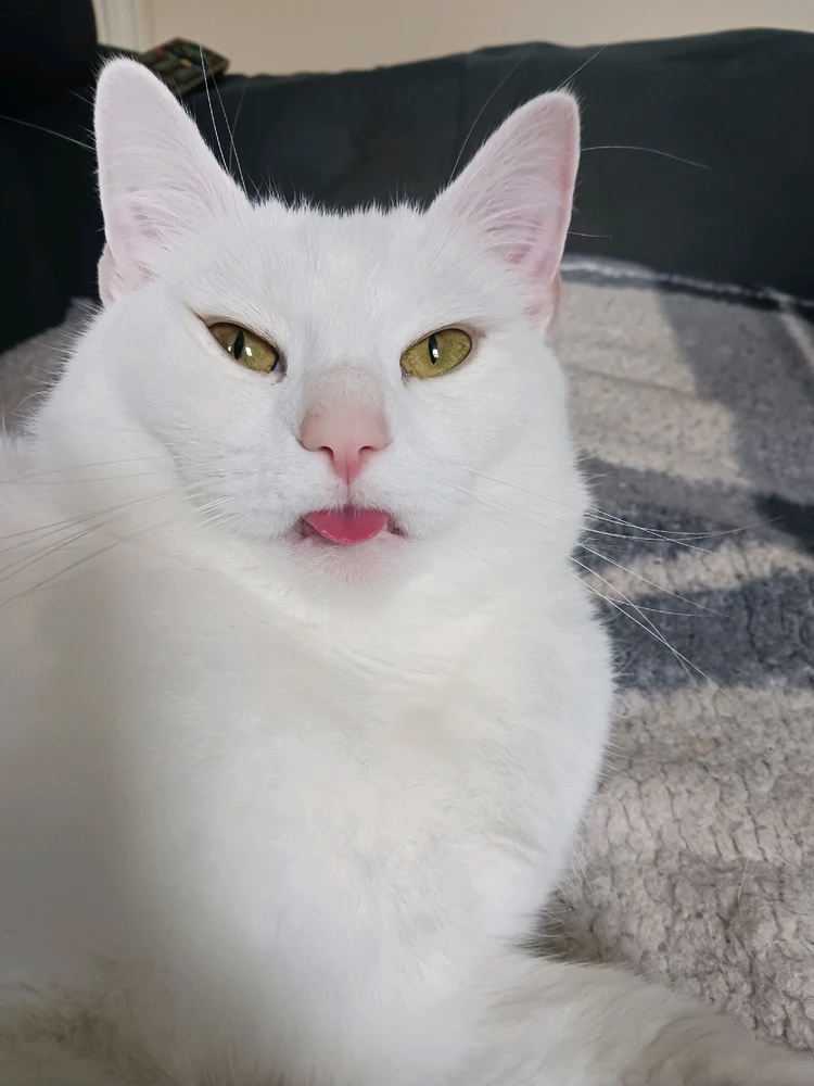 Gambar diunggah dening Jack