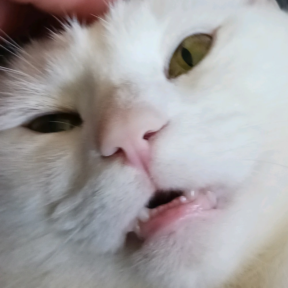 Gambar diunggah dening Jack