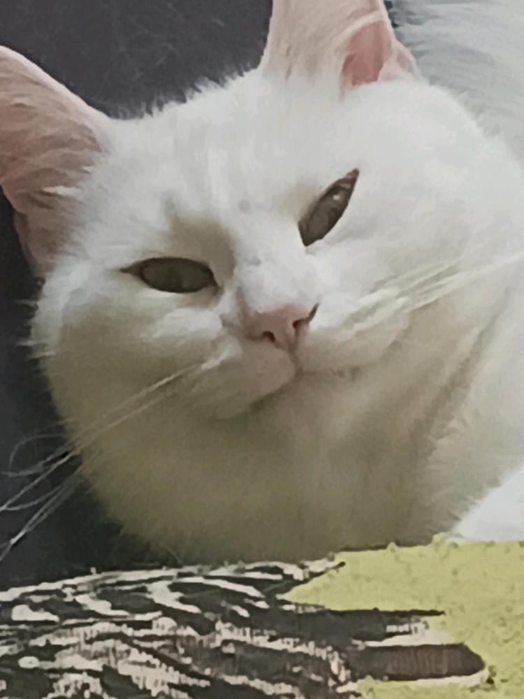 Gambar diunggah dening Jack