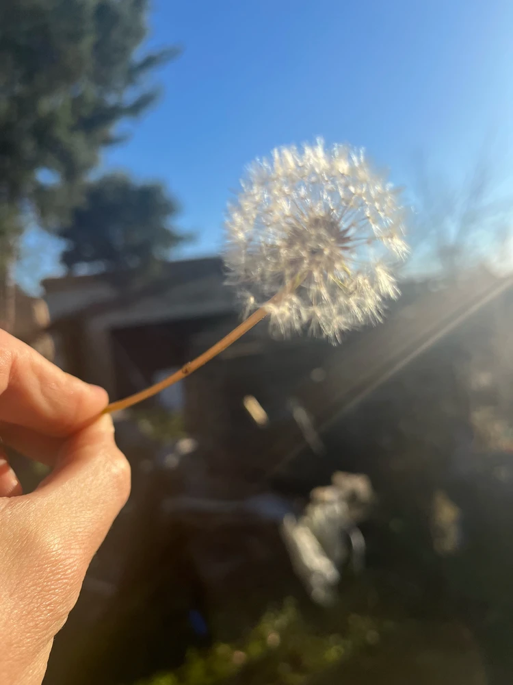 GIF caricata da Simone