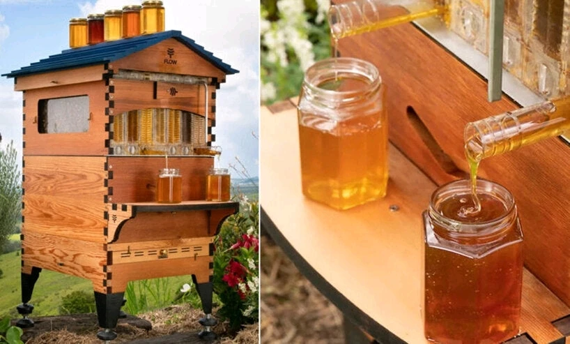 Image uploaded by Christopher