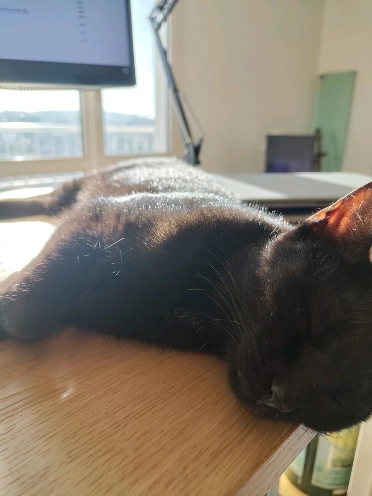 GIF ajouté par Shifumi