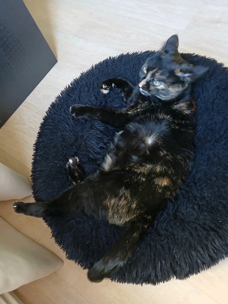 Image ajoutée par Frédérique