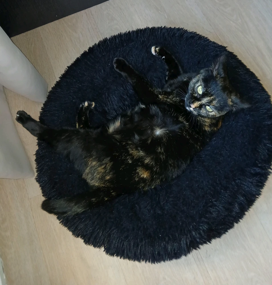 Image ajoutée par Frédérique