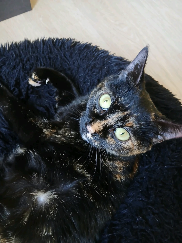 Image ajoutée par Frédérique