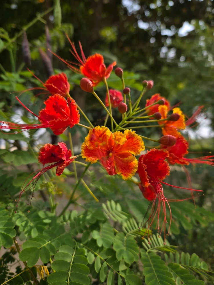 Gambar diunggah dening Ayushi