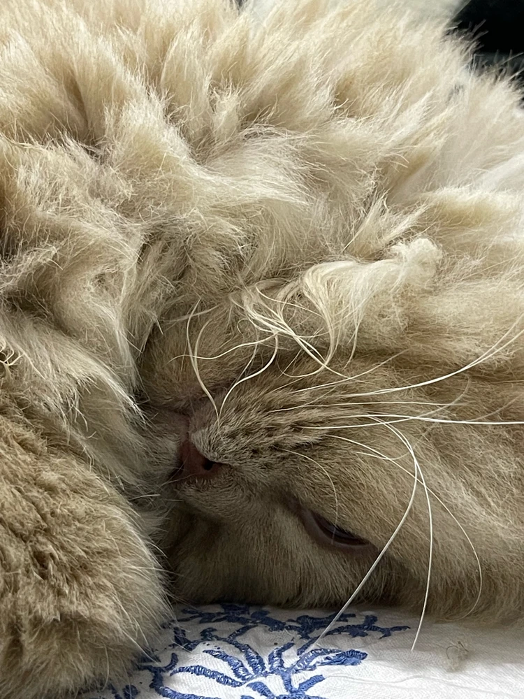 GIF uploaded by Weaam