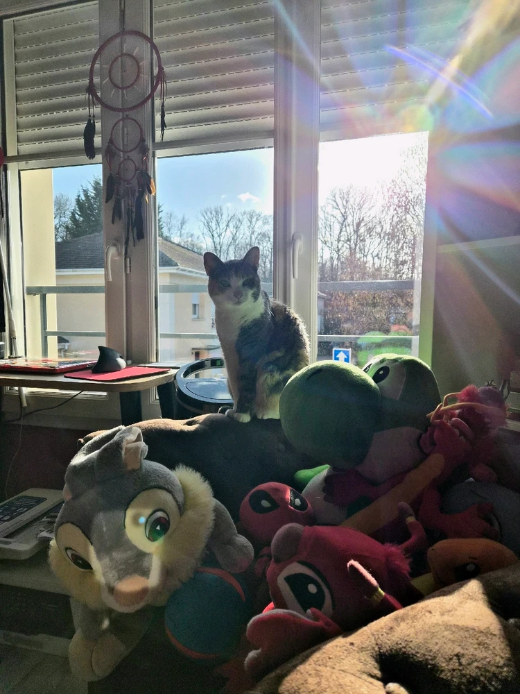 GIF ajouté par Jery