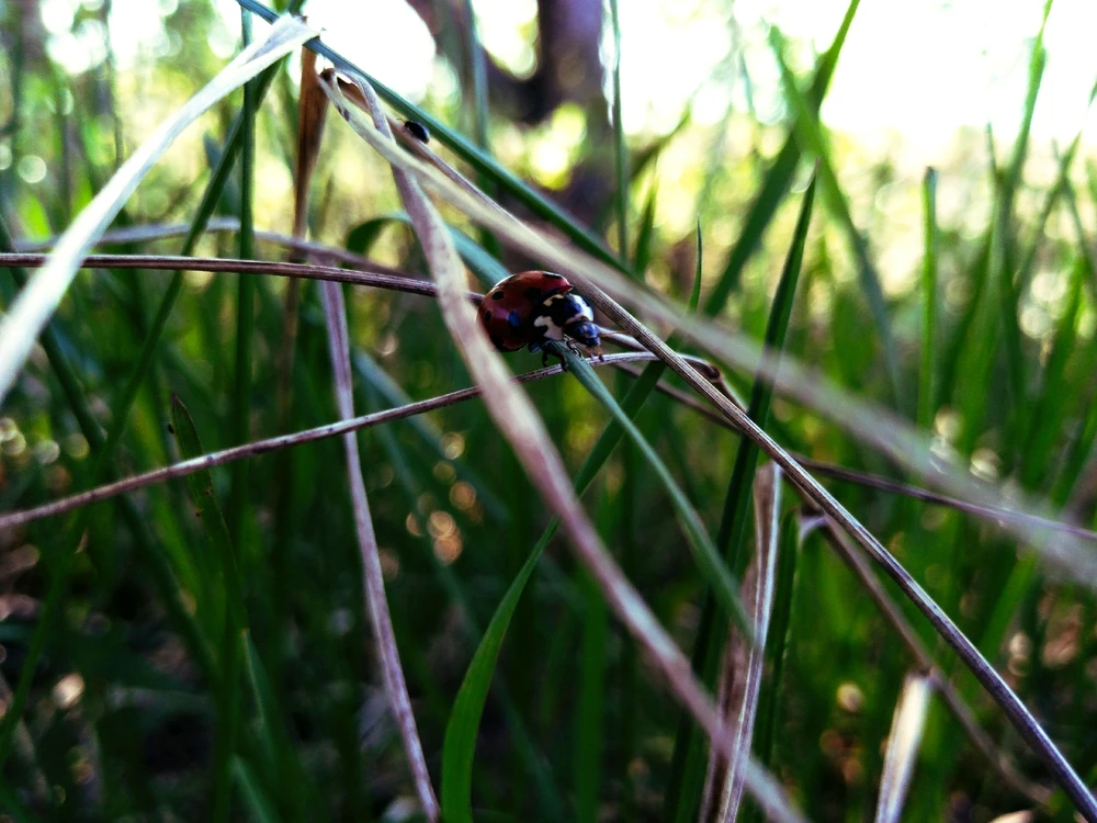 GIF загрузил Александр