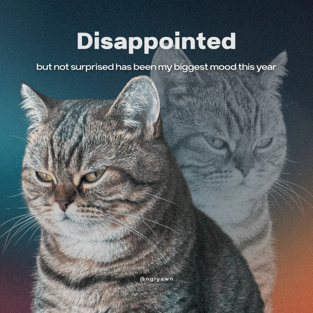 Obrázek nahrál Filip