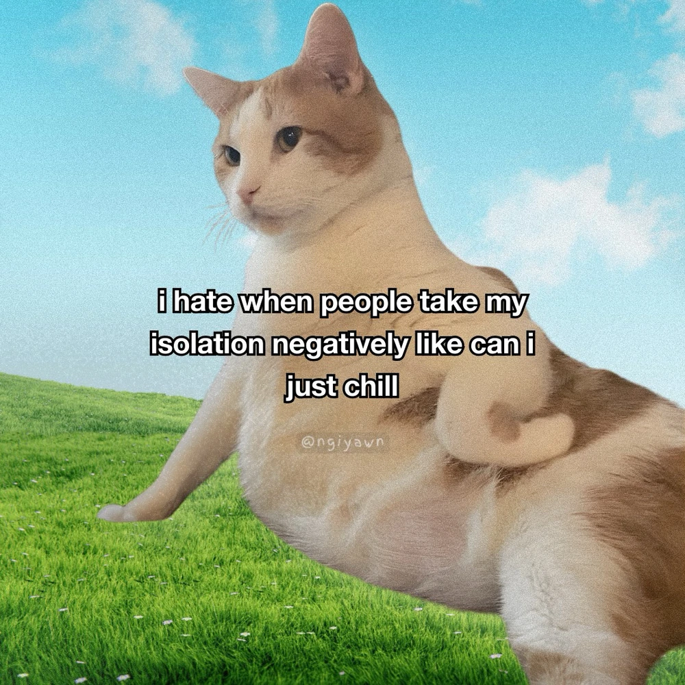 Obrázek nahrál Filip