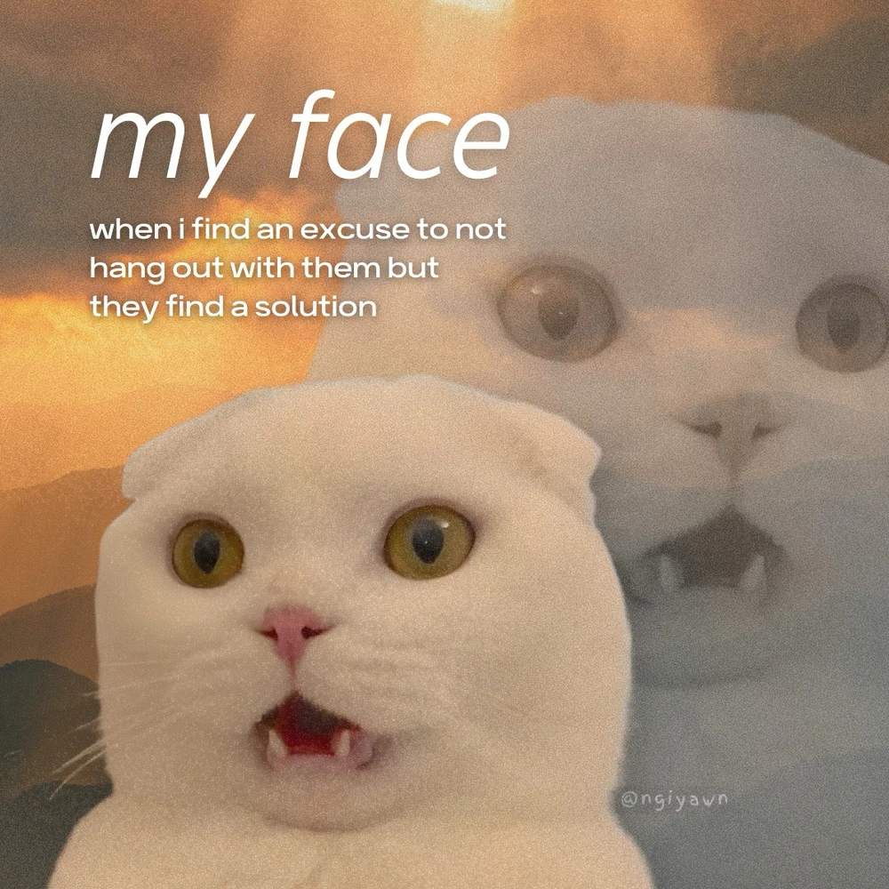 Obrázek nahrál Filip