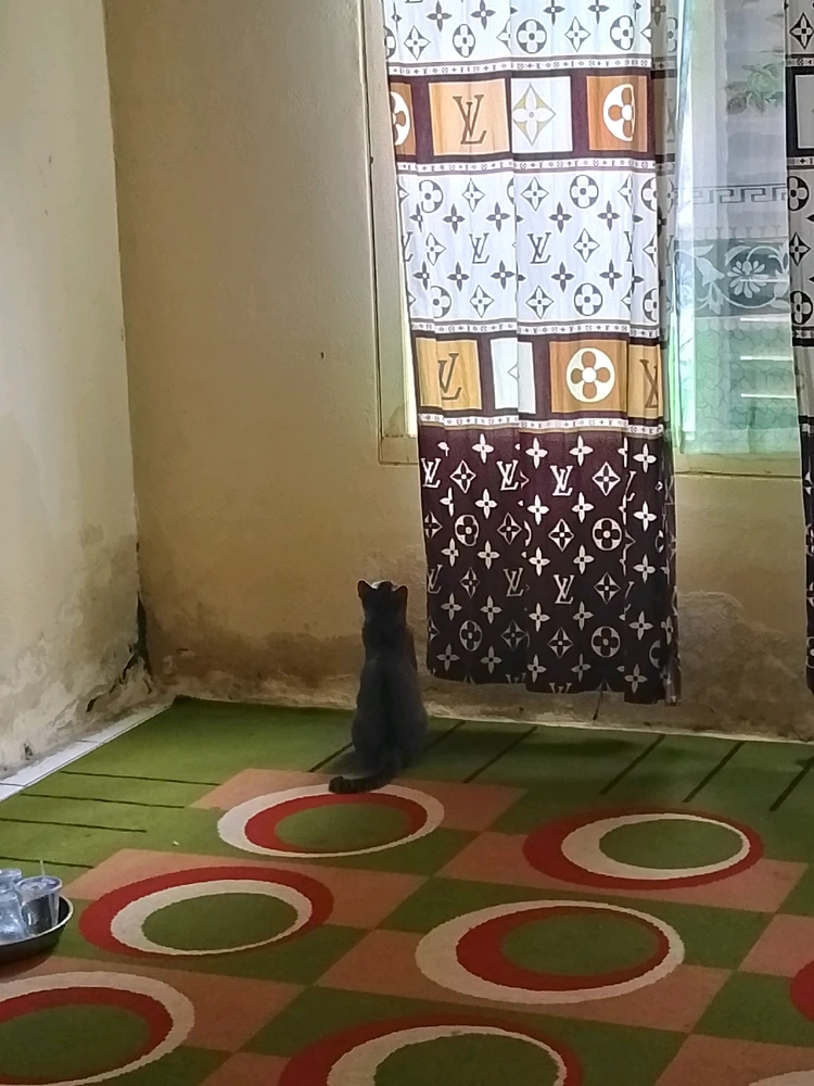 Gambar diunggah oleh Rifkah
