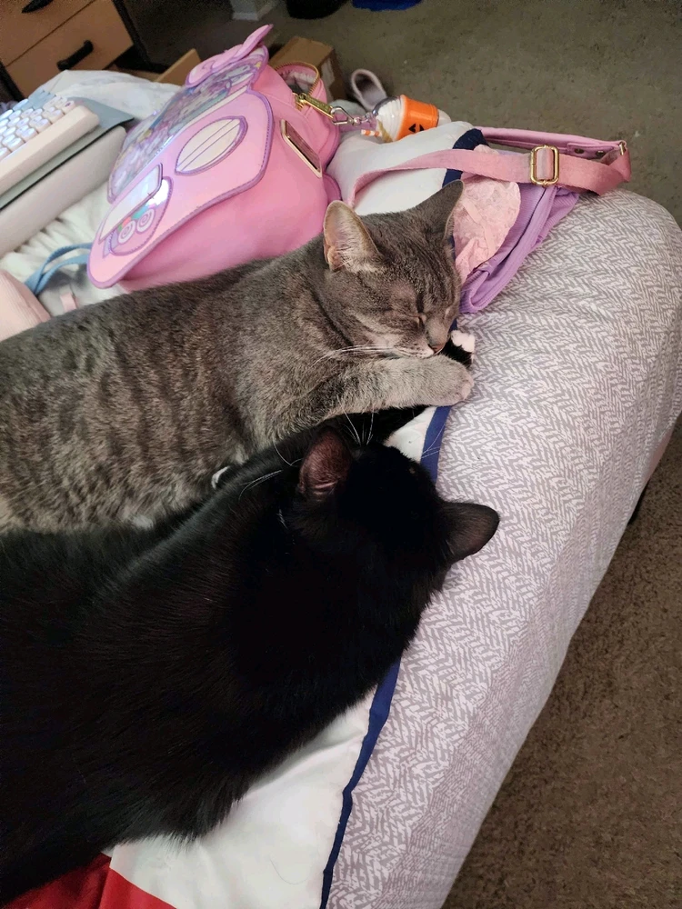 Image uploaded by Anastasia