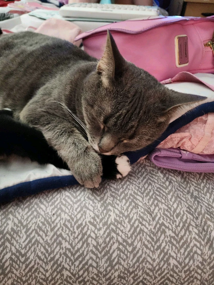 Image uploaded by Anastasia