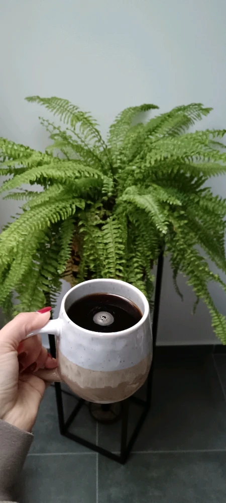 Image ajoutée par Saffiya