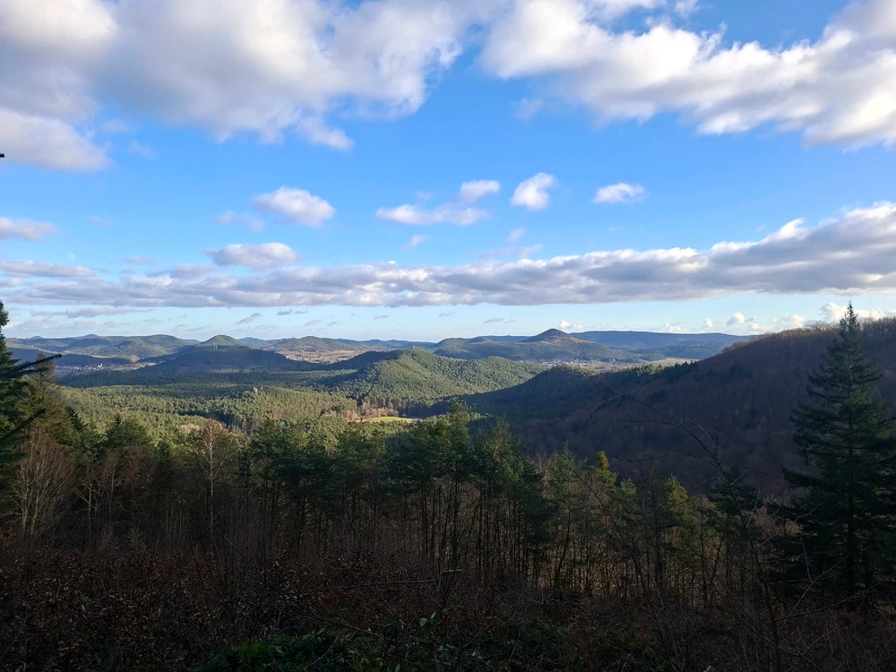 Bild hochgeladen von Michael