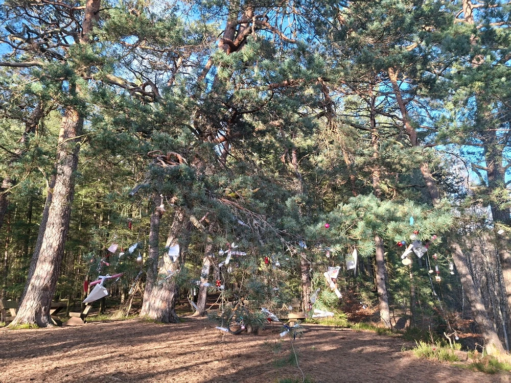 Bild hochgeladen von Michael