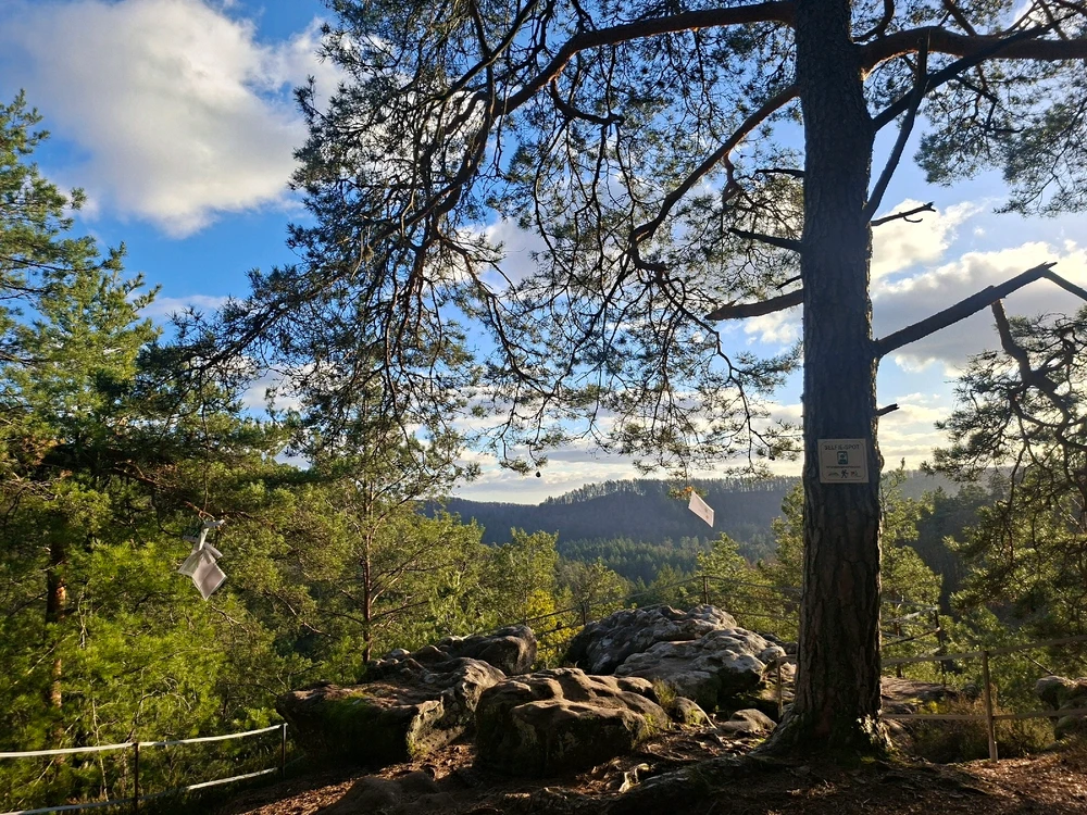 Bild hochgeladen von Michael