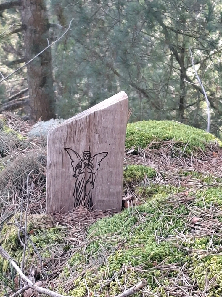 Bild hochgeladen von Michael