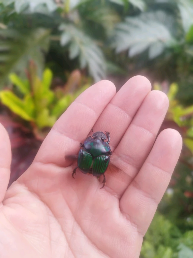 GIF subido por Andrés